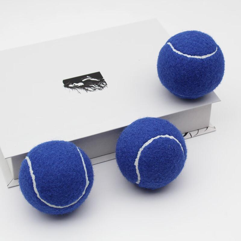 LISM Colorful Training Tennis Balls