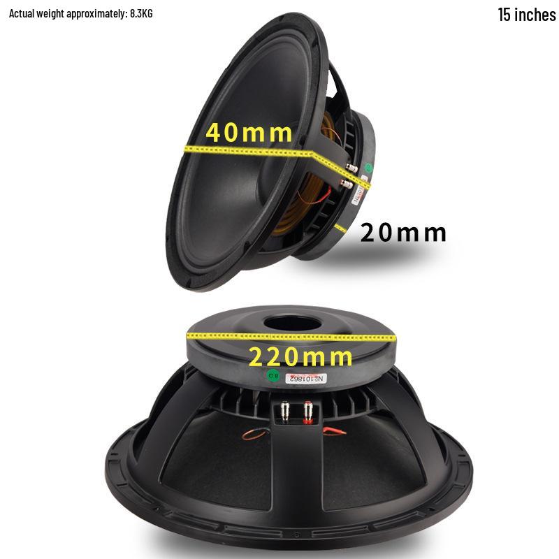 Professional High-Power 12-15 Inch Stage and Home Audio Subwoofer for KTV, Conference, Dance, and Cinema