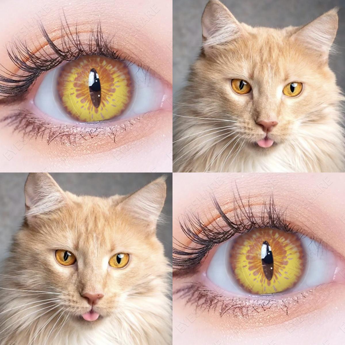 Цветные контактные линзы AMARA