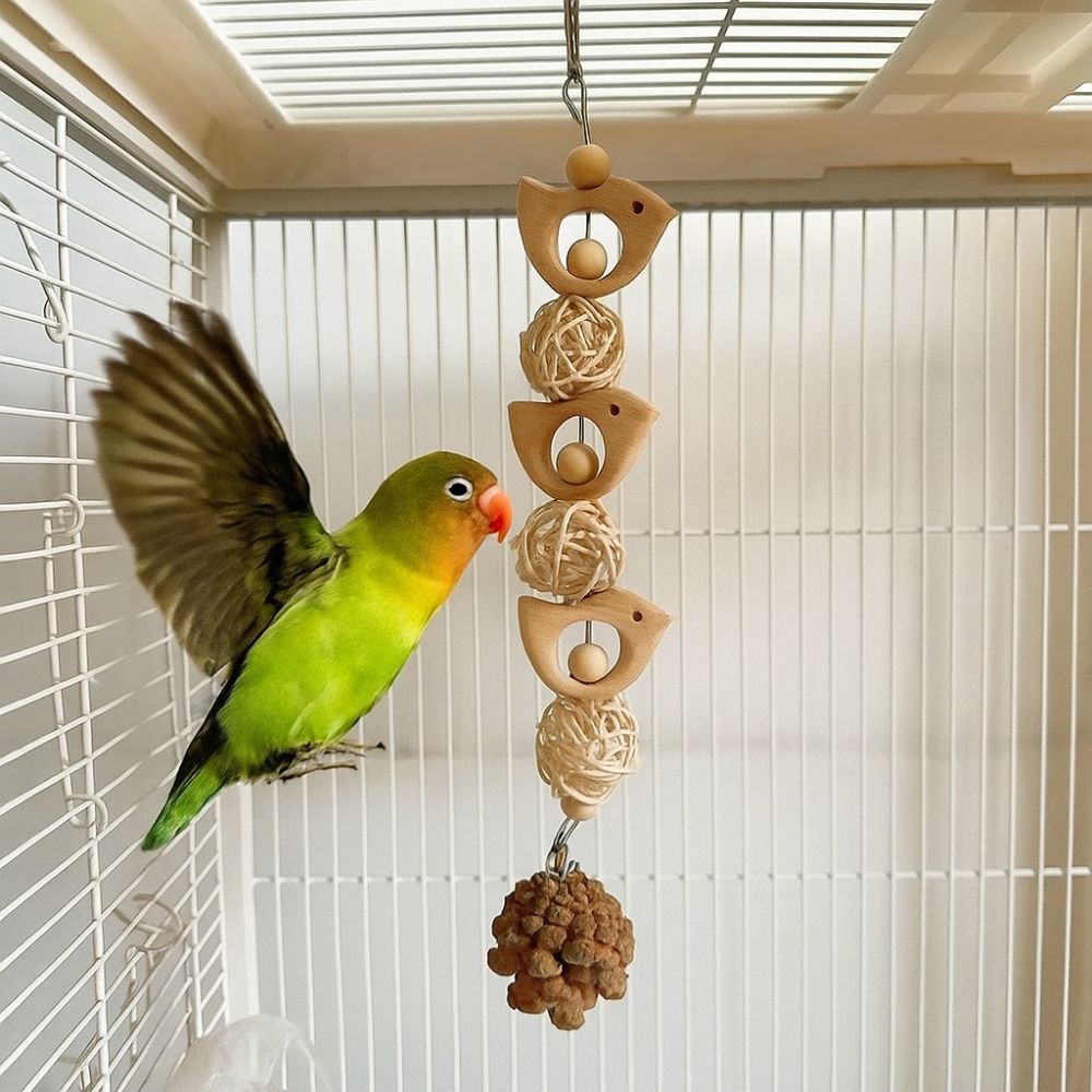 Hang Bird Swing Toy Wooden Bird Foraging Swing Funny Parrot Cage Toy Entertainment