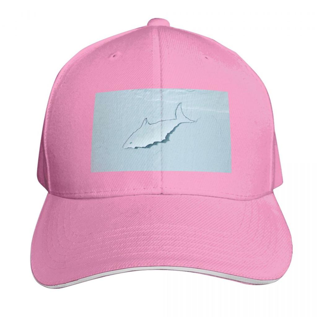 Hai An Der Wand Baseballkappe Kapuze Schirm Große Größe Hut Streetwear Elegante Damen Hüte Unisex