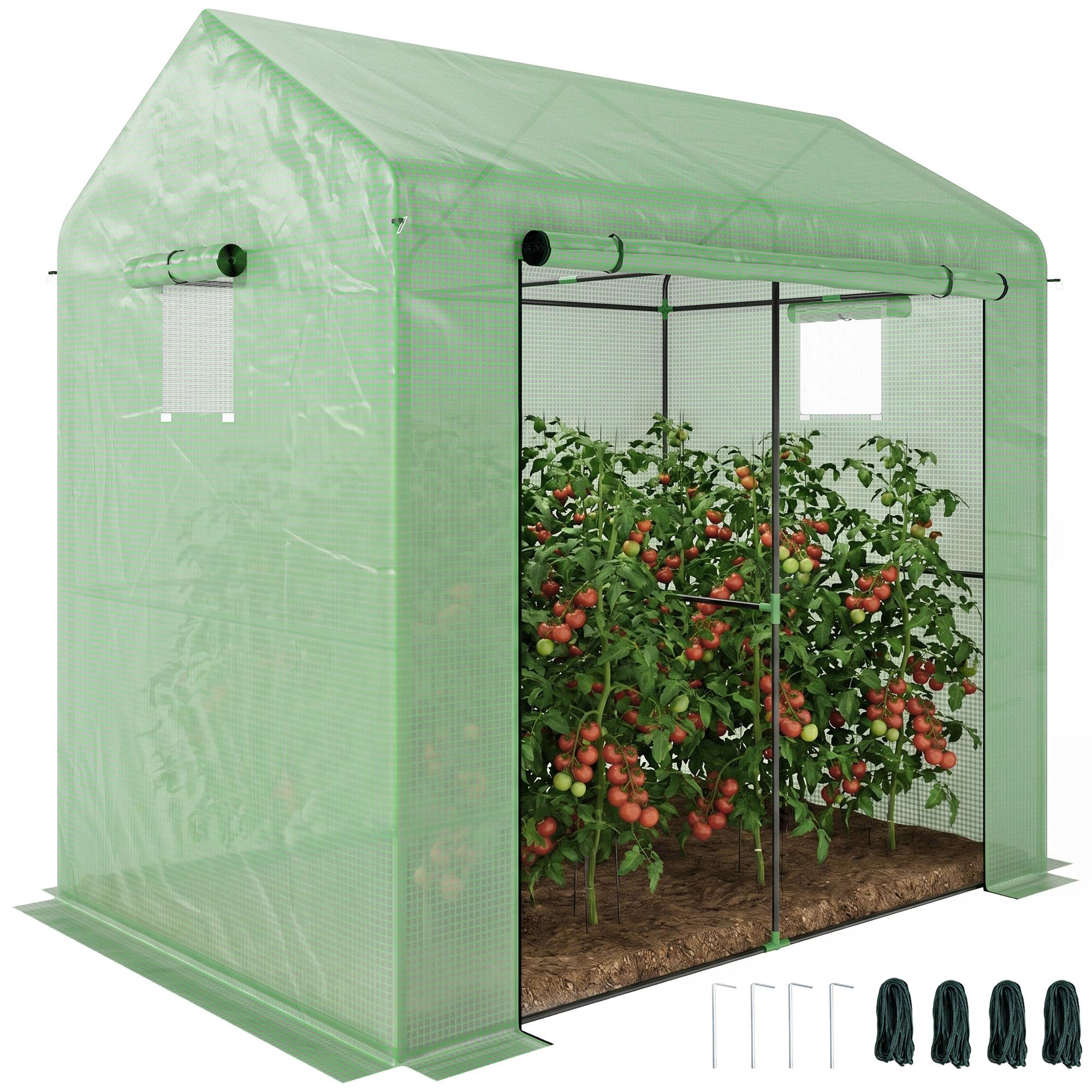 Greenhouse, Walk-in Garden Grow House with