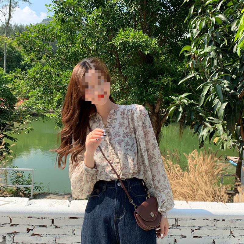 Korean Floral Chiffon Women's Loose Long Sleeve Sun Protection Shirt