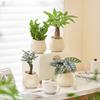 Nordic Ceramic Orchid Vase - Light Luxury Style for Small Plants