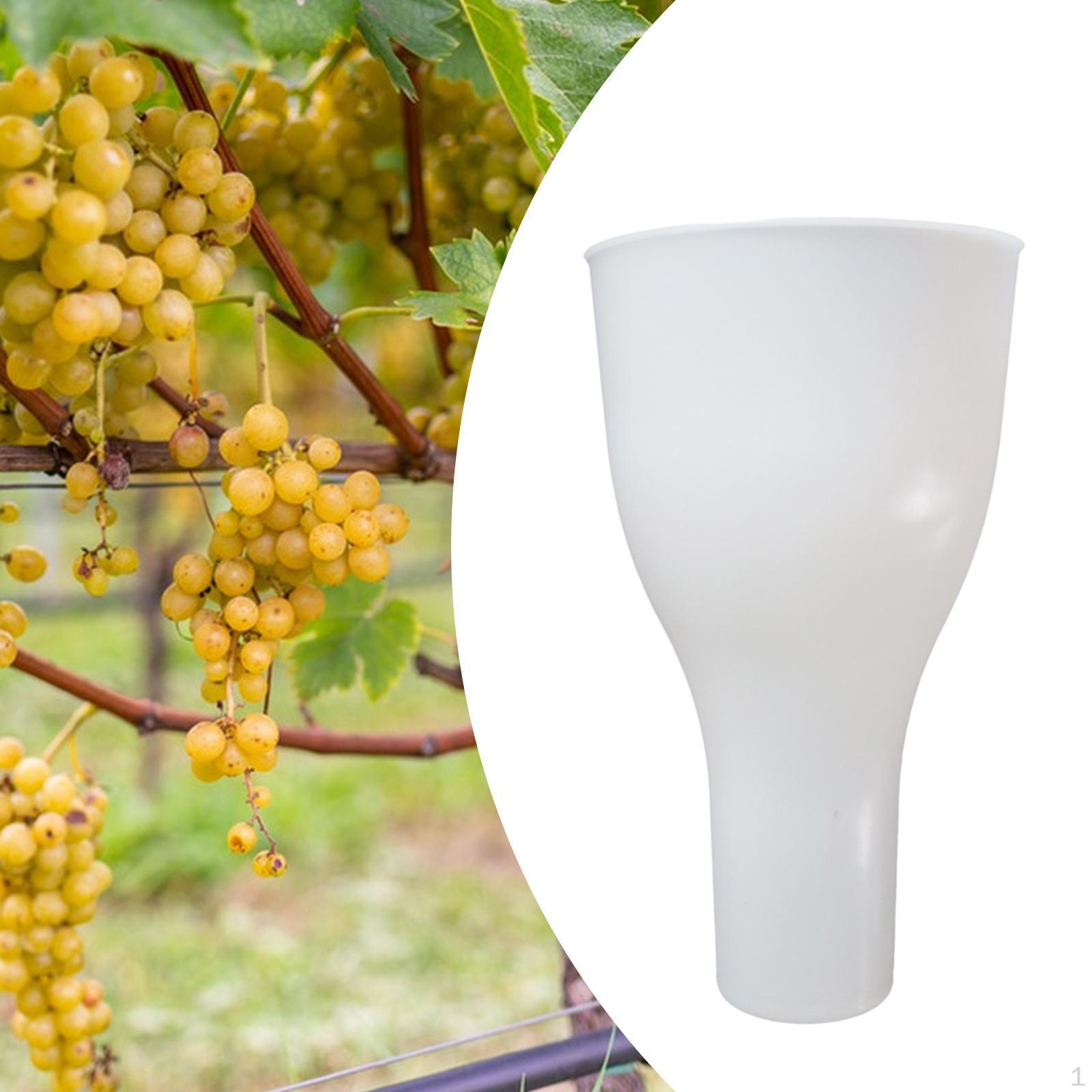 Grape Dipping Cup Fruit Soaking Container Accessories Practical Convenient to Use 8.66x4.72 Premium