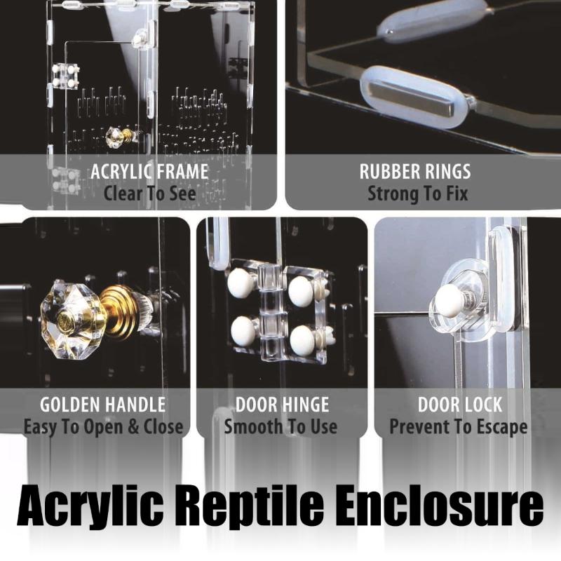 Clear Reptiles Habitat House with Clear View Airflows Easy Observation Terrariums for Pet Jumping Spiders Snake Resting