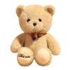 Cute Healing Cute Little Bear Doll Plush Toy Creative Teddy Bear Doll Children's Birthday Gift