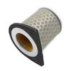 Motorcycle Air Intake Filter For Honda CBX250 CBF250 2004 2005 2006 17213-KPF-900 17213-KPF-960 Air Cleaner
