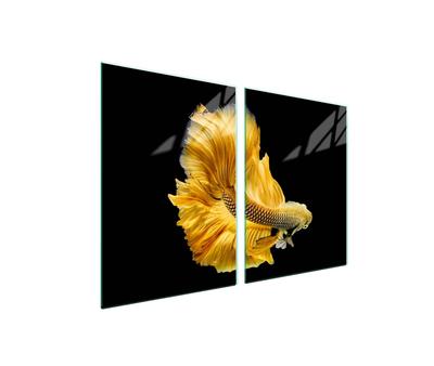 Glass Protective Plate for the Stove 2x45x52 Fish