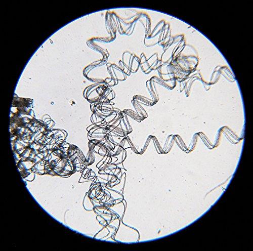 Standard Microscope Set SO80114 40x - 750x Educational Microscope for Children (Elementary, Middle, and High School Students) Christmas, Birthday, Gra