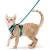 Mesh Kleine Kat Harnas En Lijn Set Verstelbaar Vest Anti-ontsnapping Proof Huisdier Kitten Eenvoudige Controle Reflecterend Puppy Honden Harnas Hond