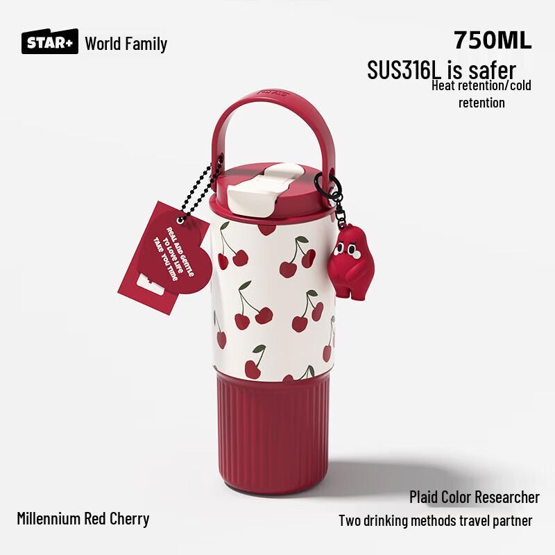 Stylish Insulated Stainless Steel Water Bottle with Straw