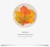 Artificial Red Maple Leaf & Green Leaves Decoration for Kindergarten, Shop Windows, and Landscaping