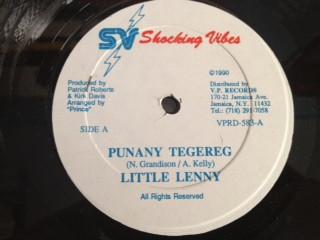 

12inch Record LITTLE LENNY Punany Tegereg Champion Bubbler VPRD583 SHSHOCKIING VIB 1990 US Reggae Ska Dub Used