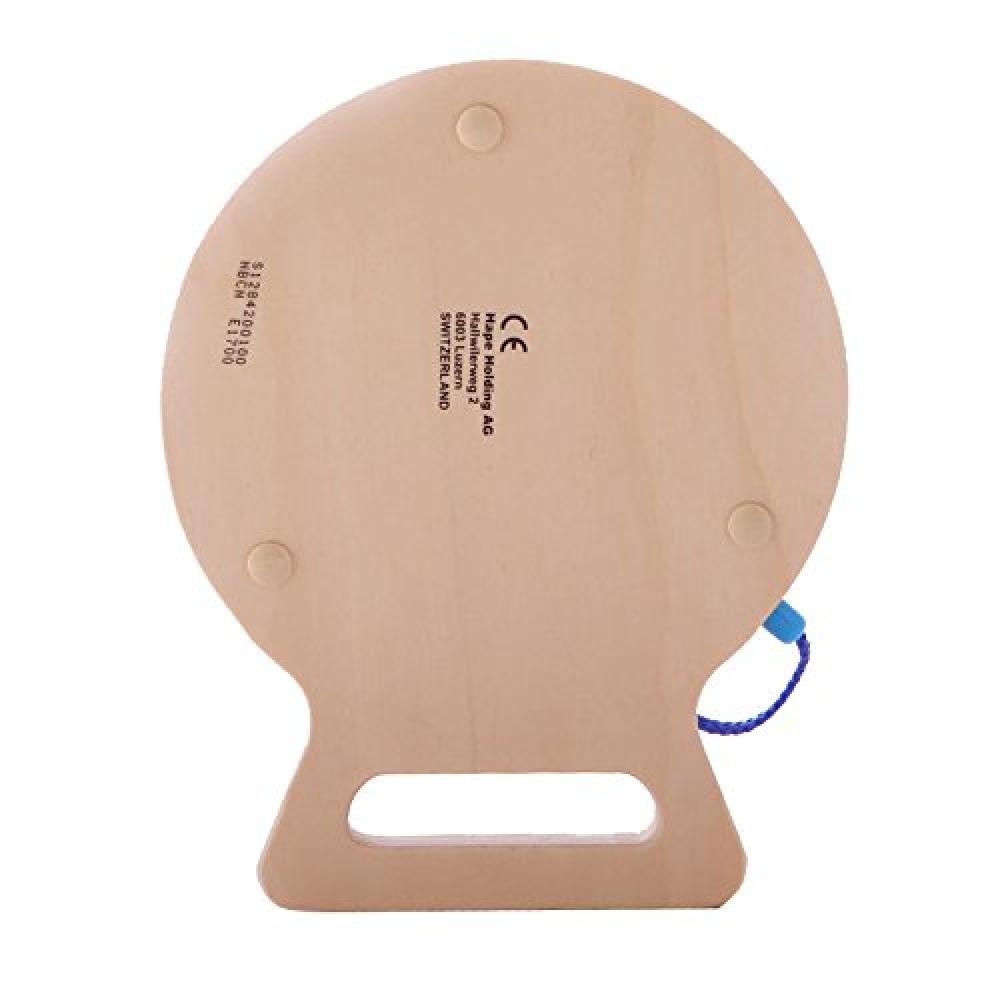 Hape Go Fish Go E1700