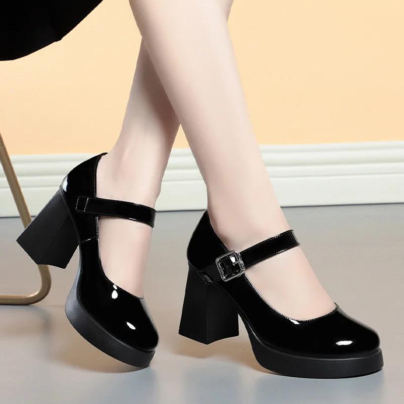 Fashion Platform High Heels for Women's Fashion Shallow Mouth Buckle Round Chunky Heel Mary Jane Shoes Spring and Summer New Women Pumps
