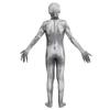 Full Body Tights for Adults and Fancy Dress Body Horror Disguise Haunted Ghost Test of Prank Stage 170cm [FakeFace] Kids, Halloween, Costume, Cosplay,
