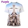 Funny Cute Cat 3D Printing T-Shirt Animal Creative Personality Interesting Street Round Neck Short Sleeve Tees Tops