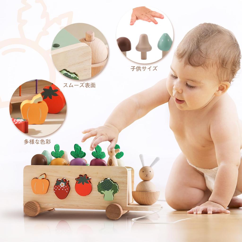 Promise Babe Shape Matching Wooden Puzzle with Carrot and Magnetic Bug Educational Montessori Toy with Shape Rabbit and Farm and Shape Wooden Toy for