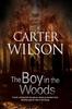 The Boy In the Woods by Carter Wilson Paperback Book 9781847517883