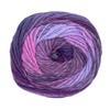 SKIYARN Yarn Color Autumn/Winter "Paiaccio 703"