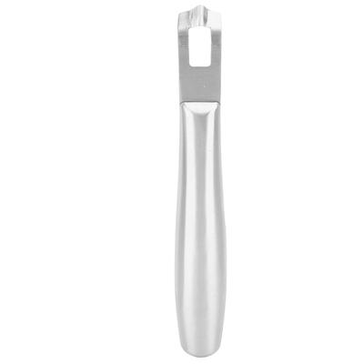 Lemon Zest Peeler Tool Zester for Cocktails Stainless Steel Multifunctional Kitchen Gadget Silver