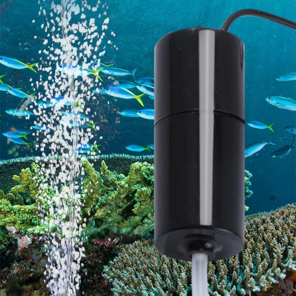 With Air Stone Fish Tank Oxygenator USB Interface Aquarium Air Aerator Aquarium Air Pump Seafood