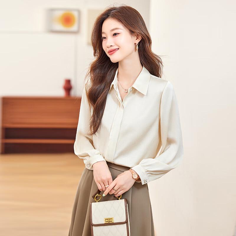 Taluoman Women s Long Sleeve Chiffon Commuter Shirt XXL