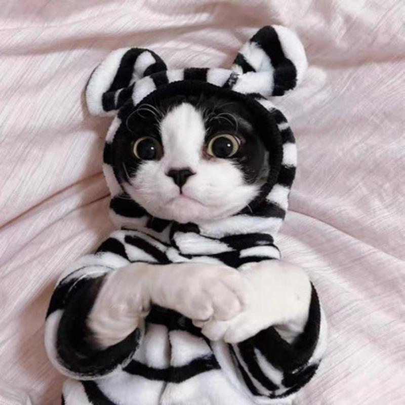 Warm Cats Clothing Winter Sphynx Hairless Cats Clothes Soft Thick Elastic Double-sided Plush Cat Clothes Cloud Pet Pajamas
