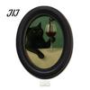 Decorative Wall Accents for Living Room Abstract Art Cat Decor, Oval 2D Wood Framed Funny Painting Unique Prints Print, Vintage Ornament Bedroom Home