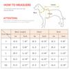Autumn Winter Soft Fleece Pet Dog Pajamas Jumpsuit for Small Dogs Shih Tzu Yorkshire Puppy Cat Clothes Warm Pullover Pets Clothi