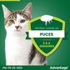 ADVANTAGE Solution Flea Treatment Cat Rabbit +4kg 6 Pipettes