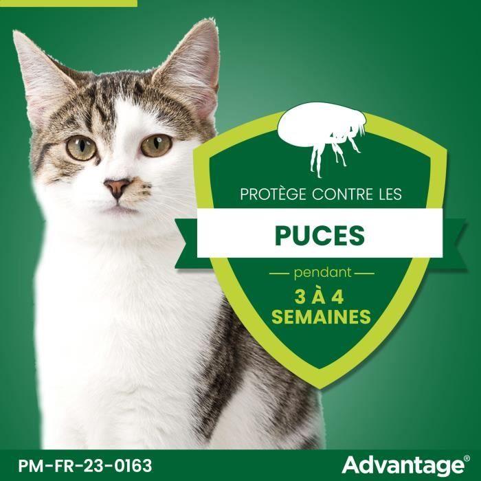 ADVANTAGE Solution Flea Treatment Cat Rabbit +4kg 6 Pipettes