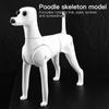 Fenice Animale Domestico Simulazione Toelettatura Cane Finto Modello Cane Modello Scheletrico Standard Cane Corpo Intero Pelo Finto