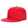 Outdoor 6-panel Flat Brim Hip-hop Sports Hat Custom Printed 3D Embroidered snapshot Hat Men and Women