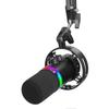 Accesorii audio și video – Microfoane