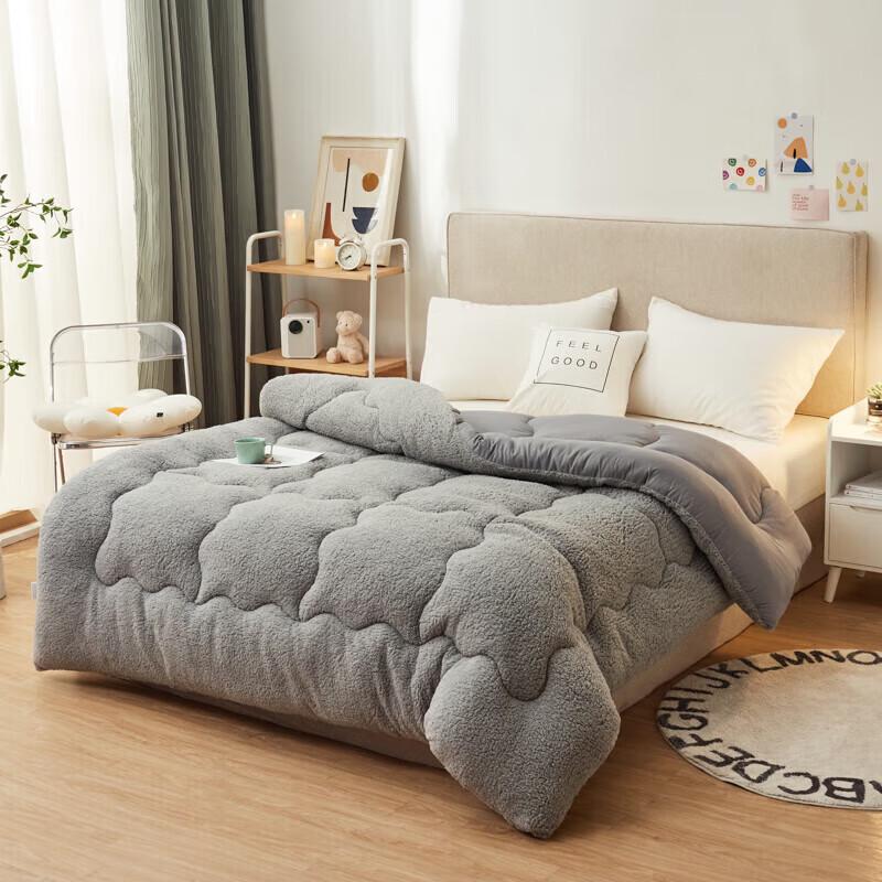 

DZQ Printed Lamb Fleece Quilt 1.5x2.0m, 5 catties