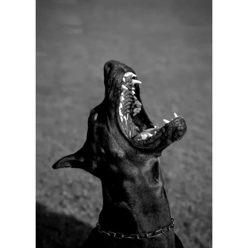 Luxury Fashion Doberman Sexy Woman Black White Posters and Prints Canvas Printing Wall Art Picture for Living Room Home Decor
