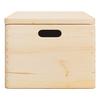 Vidaxl Wooden Box with Lid and Handles, Solid Pine Wood