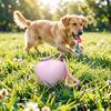 2-in-1 Dog Water Bottle, Portable Pet Water Bottle with Bowl, 10oz Stainless Steel Heart Dog Water Ball, Dog Water Dispenser for Small Dogs Puppies