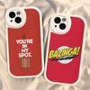 TV S-Shows The Bigs Bang Theory Sheldon Leather Phone Case For Iphone 16 15 14 Plus 13 12 11 Pro Max Case