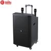 HuiDu WX-15 Professional Portable PA Speaker