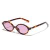 Y2K Retro Oval Frame Glasses Women Leopard Ins Sweet Cool Sunglasses Trendy Girl Decorative Goggles Reading Computer Eyeglasses