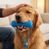Bite-Resistant Pet Teeth Cleaning Toy with Rope Interactive Dog Toy Dog Chew Stick  Interactive Tug