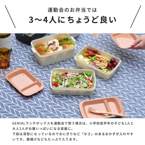 GENIAL Picnic Lunch Box: A 4200ml Capacity, Three-tiered Lunch Box. Nesting Allows for Compact Storage. The Slim Rectangular Shape with Shallow Top Tw