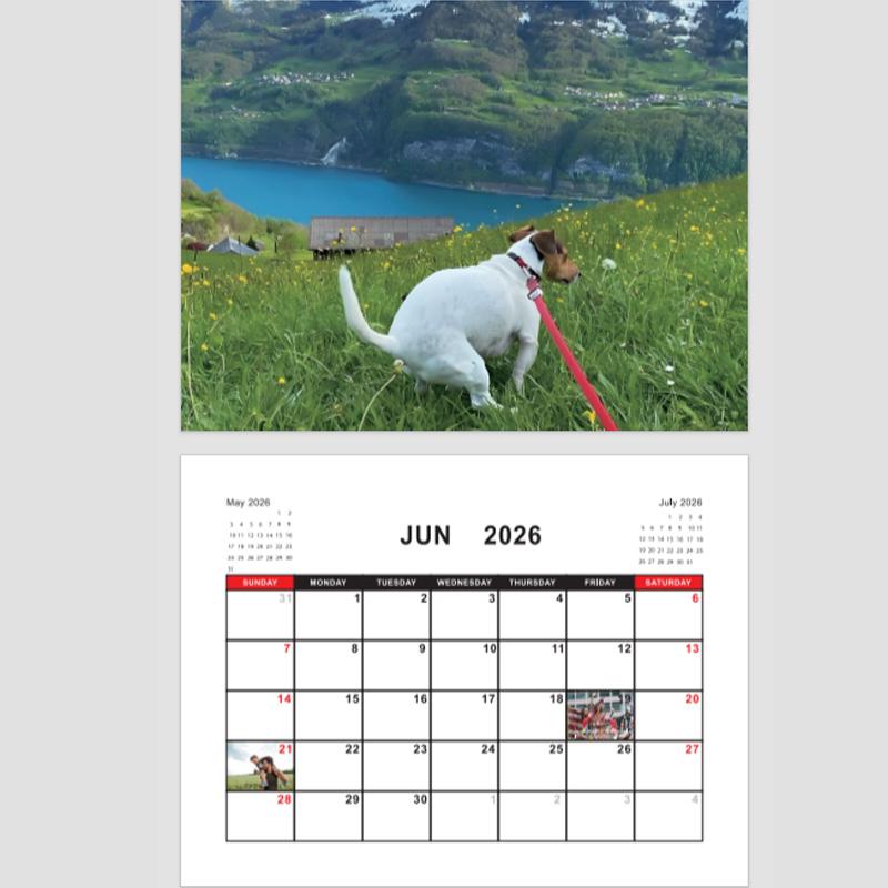 2026 Kackende Hunde Kalender Lustige Party Gag Geschenke Für Männer Frauen Kollegen Freunde Witz Weihnachts- Geburtstagsgeschenke