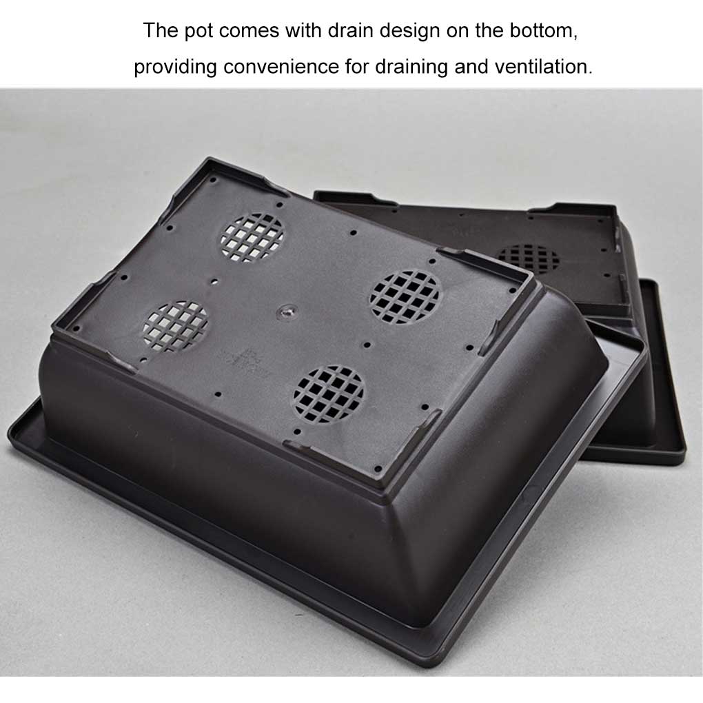 Gärtnertopf Professioneller Sukkulentenhalter Zuhause Innen Außen Pflanzgefäße Gartenzubehör mit Drainagedesign