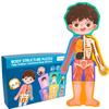 Wooden Body Structure Puzzle For Kids Educational Learning Toy For Boys And Girls