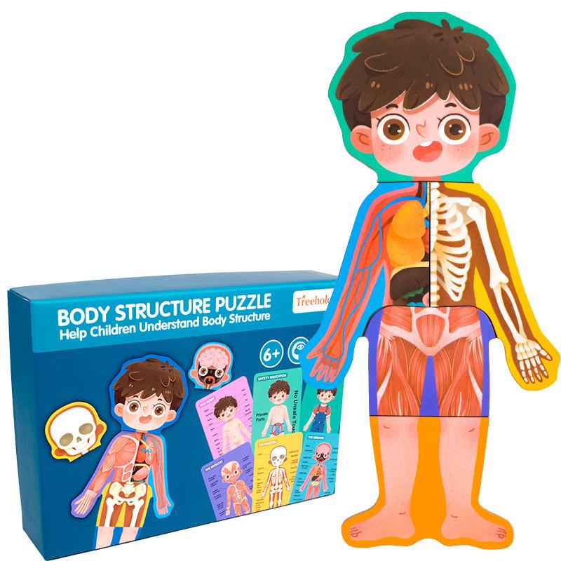 Wooden Body Structure Puzzle For Kids Educational Learning Toy For Boys And Girls
