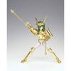 Saint Cloth Myth Andromeda Shun Of ~Power Gold~
